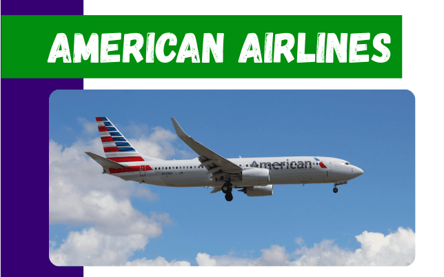 American Airlines American Airlines